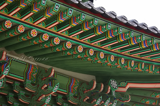 100626seesaa_090526korea089.jpg