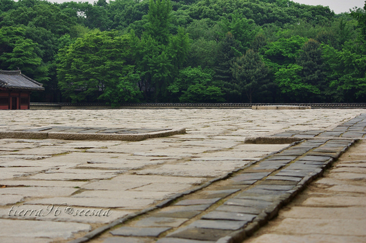 100626seesaa_090526korea392.jpg
